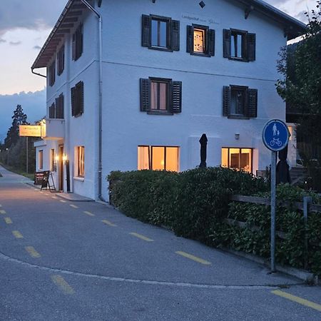 Landgasthof Zum Glenner Ilanz/Glion Екстер'єр фото